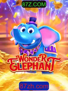 Descubra o Fascinante Mundo de WonderElephant